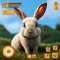 Cute Rabbit Bunny Pet Game Sim