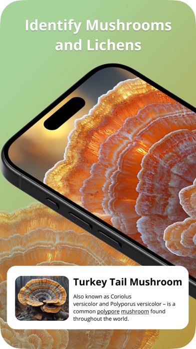 Picture Mushroom Screenshots
