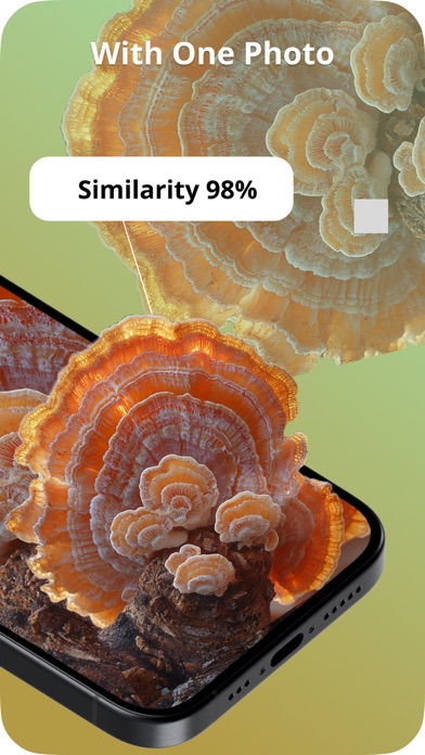 Picture Mushroom Screenshots