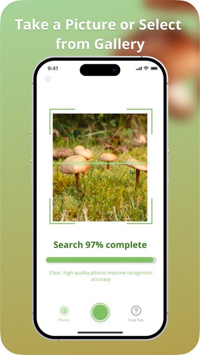 Picture Mushroom Screenshots