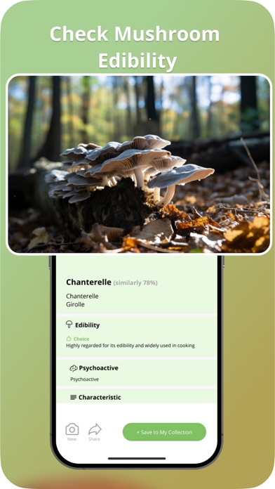 Picture Mushroom Screenshots