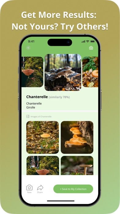 Picture Mushroom Screenshots