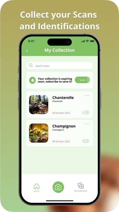 Picture Mushroom Screenshots