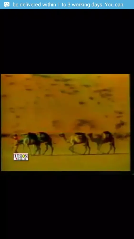 Female Video Naats Screenshots