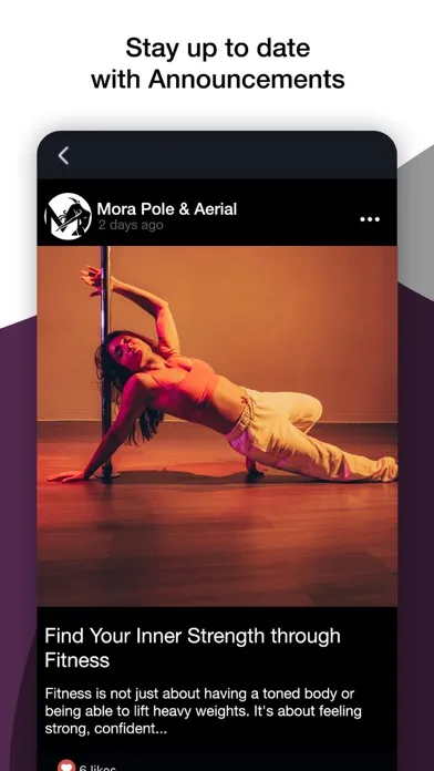 Mora Pole and Aerial应用截图