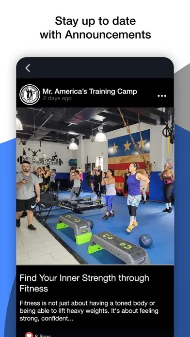 Mr America's Training Camp سکرین شاٹس