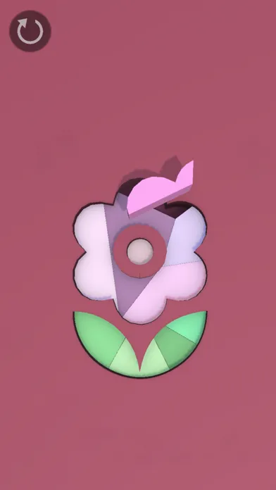 صور Spongee