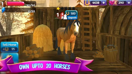 Horse Paradise: My Dream Ranch Screenshots