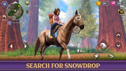 صور Star Equestrian - Horse Ranch