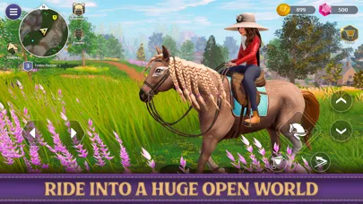 صور Star Equestrian - Horse Ranch