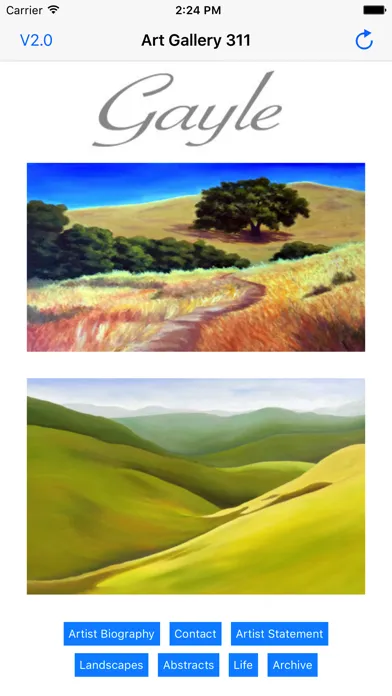 Art Gallery 311 Screenshots