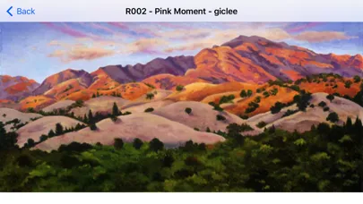 Art Gallery 311 Screenshots