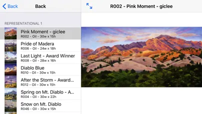 Art Gallery 311 Screenshots