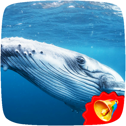 Whale Sounds