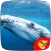 Whale Sounds