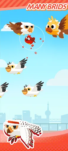 Many Brids سکرین شاٹس