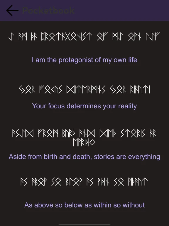 Runic Pro iPad  Ekran Görüntüleri