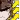 OrderlyStrife