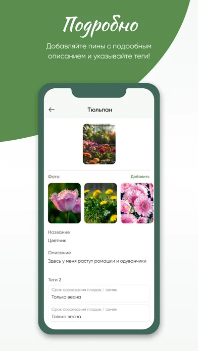 Скриншоты Твой Сад