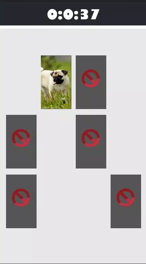 Nature Picture Matching Screenshots