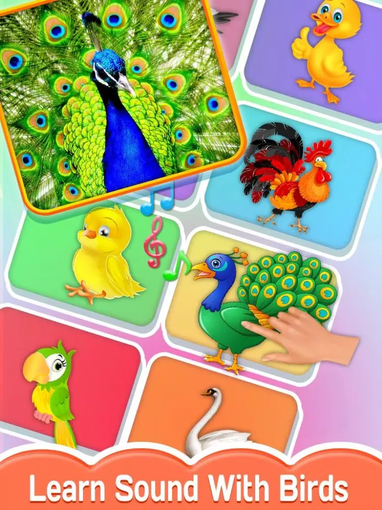 Baby Touch - Animal Sound Screenshots