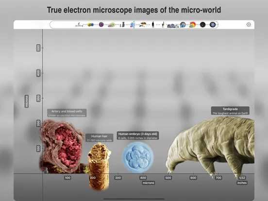Zrzuty ekranu Universal Zoom iPad 