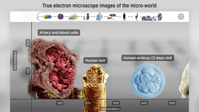 Zrzuty ekranu Universal Zoom