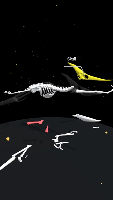 Captures d'écran de Assemble Skeleton