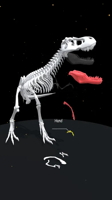 Captures d'écran de Assemble Skeleton
