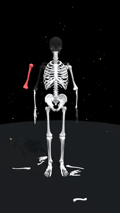 Captures d'écran de Assemble Skeleton