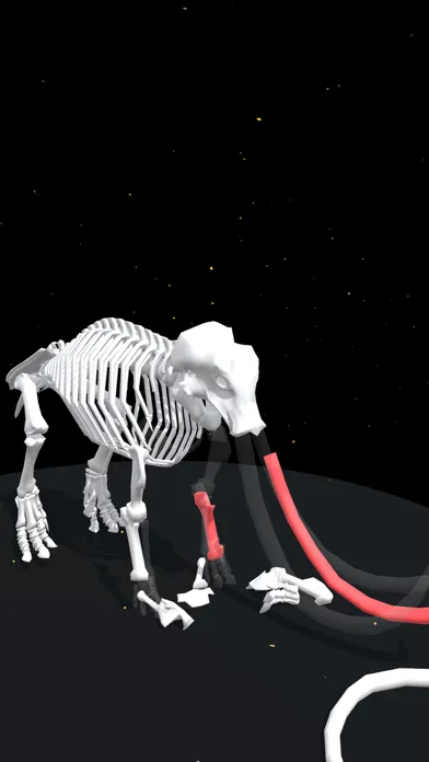 Captures d'écran de Assemble Skeleton