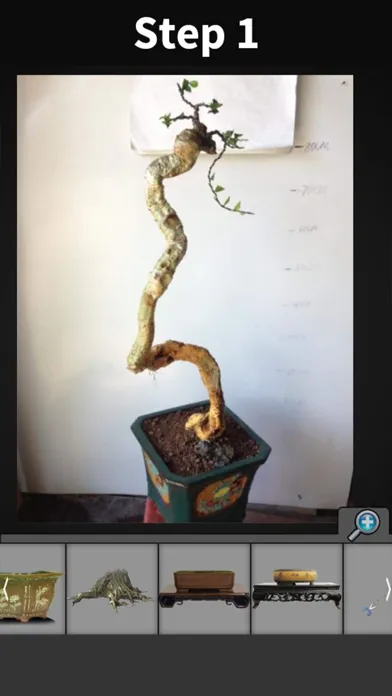 ภาพหน้าจอของ My Bonsai
