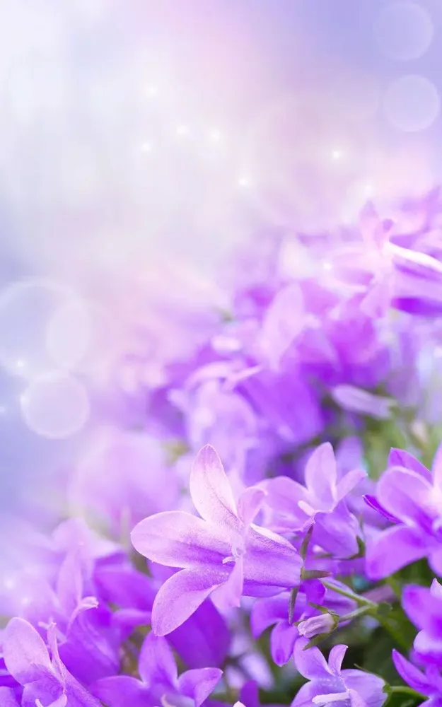Screenshot di Gentle Flowers Live Wallpaper