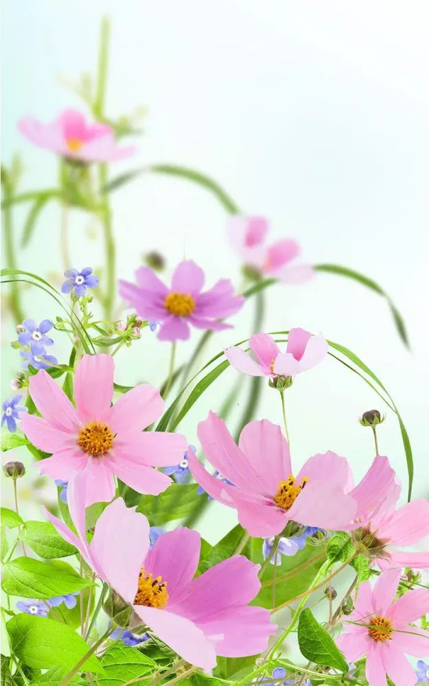 Screenshot di Gentle Flowers Live Wallpaper