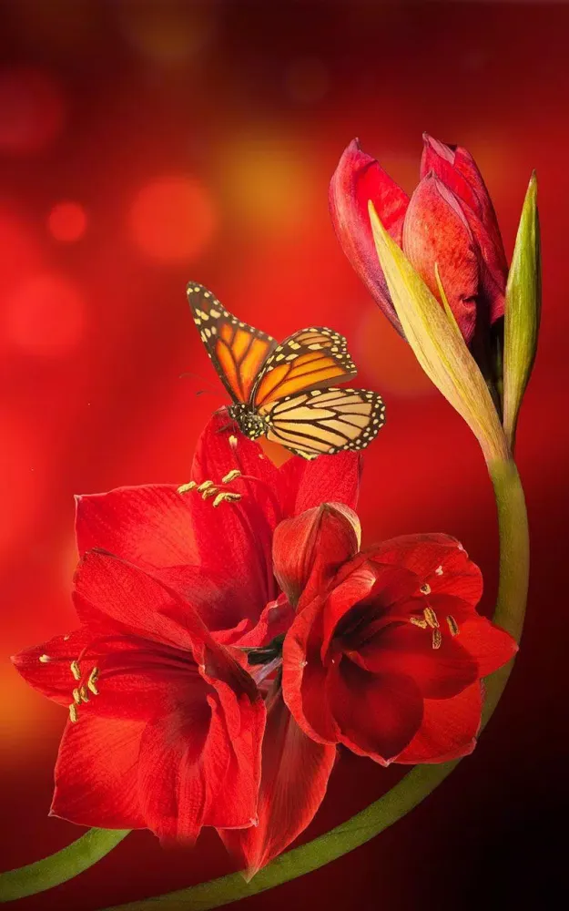 Screenshot di Gentle Flowers Live Wallpaper