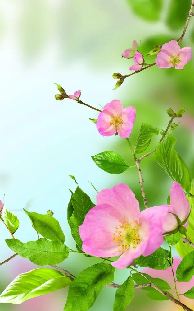 Screenshot di Gentle Flowers Live Wallpaper
