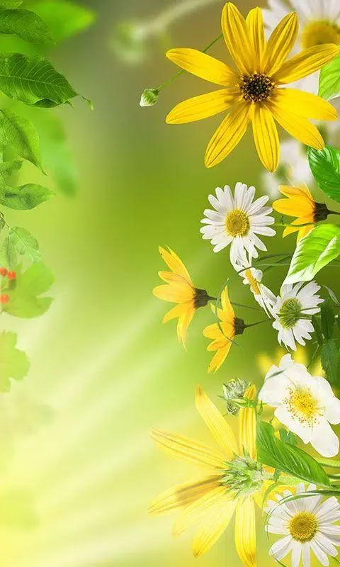 Screenshot di Gentle Flowers Live Wallpaper