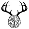 DeerBrain
