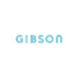 Gibson Apartments Minneapolis