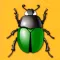 Gift Ant