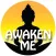 Awaken Me - Origin