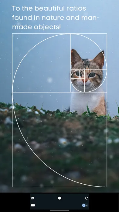 Tangkapan layar Golden Ratio Camera. Perfect
