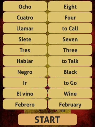 Spanish German English Turkish Language Set iPad  스크린샷