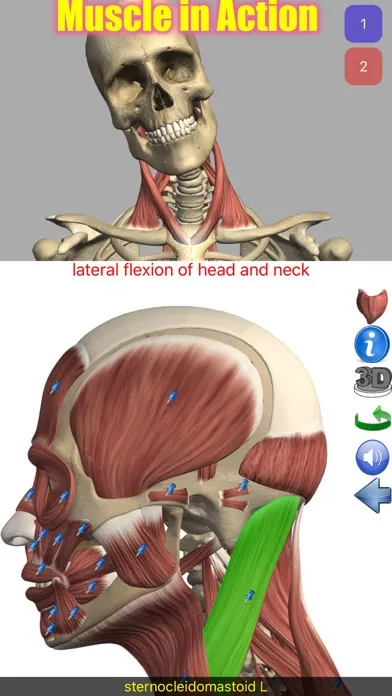 Visual Anatomy Ekran Görüntüleri