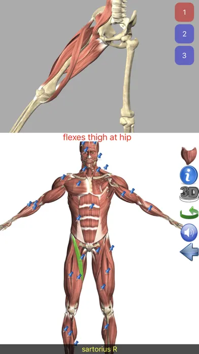 Visual Anatomy Ekran Görüntüleri