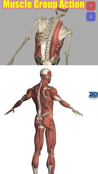 Visual Anatomy Ekran Görüntüleri