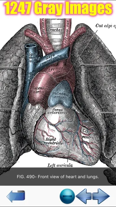 Visual Anatomy Ekran Görüntüleri