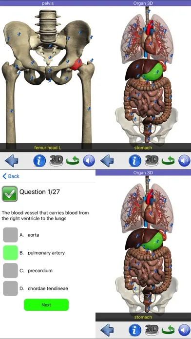 Visual Anatomy Ekran Görüntüleri