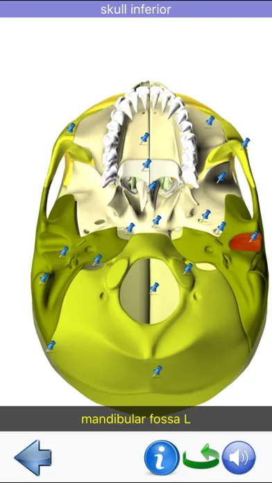 Visual Anatomy Ekran Görüntüleri