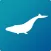 Blue Whale AR Encounter